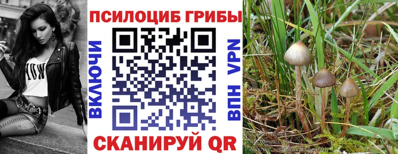 Галлюциногенные грибы ЛСД где купить наркотик Морозовск