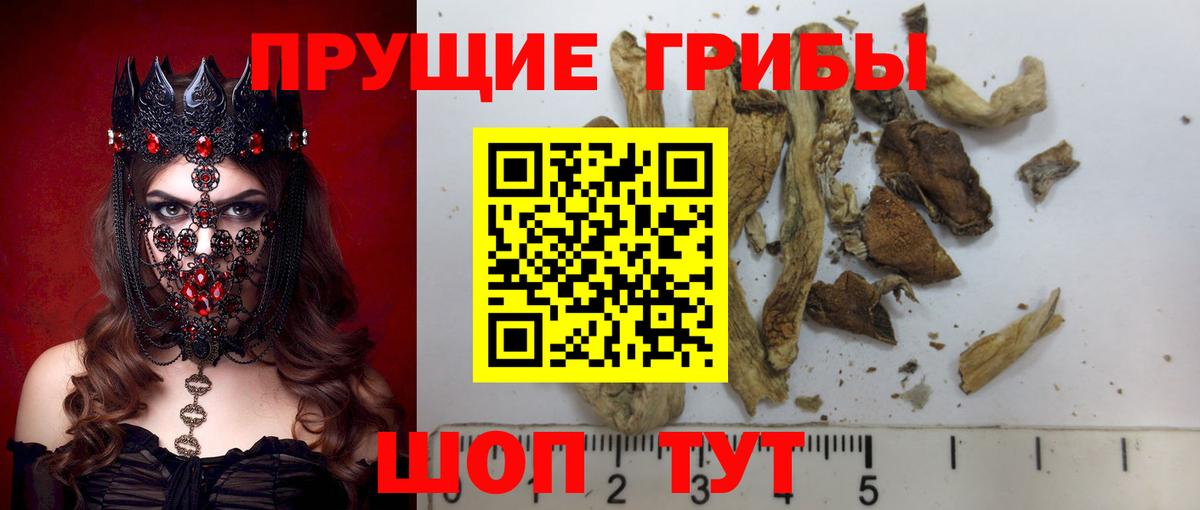 Псилоцибиновые грибы Magic Shrooms Морозовск